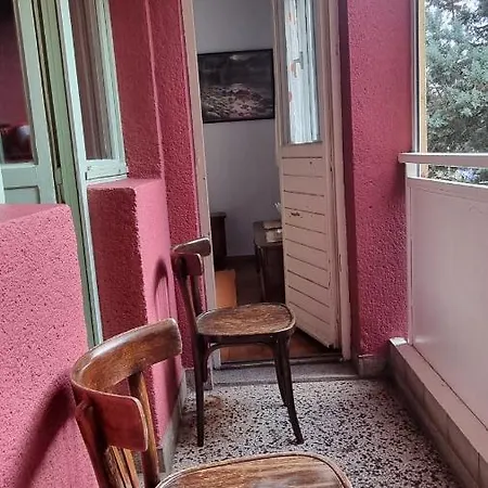 Z * Podgorica